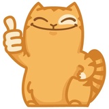 Persik WhatsApp Sticker #15