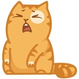 Persik WhatsApp Sticker #17