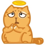 Persik WhatsApp Sticker #28