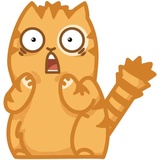 Persik WhatsApp Sticker #9