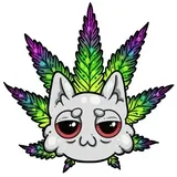 Cat Trip