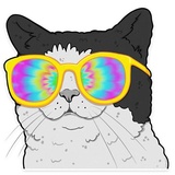 Cat Trip WhatsApp Sticker #23
