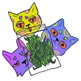 Cat Trip WhatsApp Sticker #24