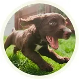Sticker 18