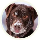 Sticker 5
