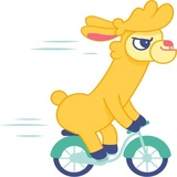 Crazy Llama WhatsApp Sticker #10