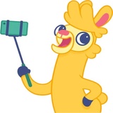 Crazy Llama WhatsApp Sticker #14
