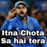 Cricket Pack WhatsApp Sticker #13