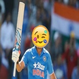 Cricket Pack WhatsApp Sticker #5