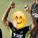 Cricket Pack WhatsApp Sticker #6