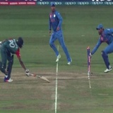 Cricket Pack WhatsApp Sticker #7