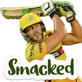 CSK Telugu WhatsApp Sticker #11