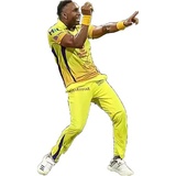 CSK Telugu WhatsApp Sticker #27