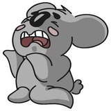 Cute Koala WhatsApp Sticker #14