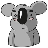 Cute Koala WhatsApp Sticker #15