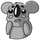 Cute Koala WhatsApp Sticker #7