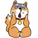 Shiba Inu WhatsApp Sticker #12