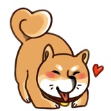 Shiba Inu WhatsApp Sticker #4