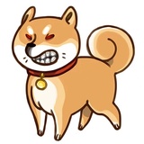 Shiba Inu WhatsApp Sticker #6