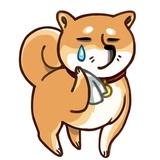 Shiba Inu WhatsApp Sticker #9