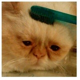 despair WhatsApp Sticker #10