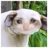 despair WhatsApp Sticker #11