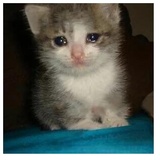 despair WhatsApp Sticker #12