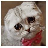 despair WhatsApp Sticker #17