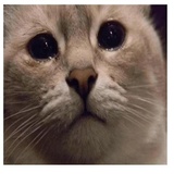 despair WhatsApp Sticker #18