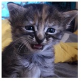 despair WhatsApp Sticker #19