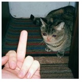 despair WhatsApp Sticker #2