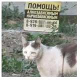 despair WhatsApp Sticker #20