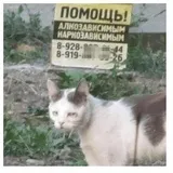 Sticker 20