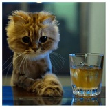 despair WhatsApp Sticker #21