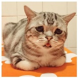 despair WhatsApp Sticker #22