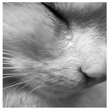 despair WhatsApp Sticker #23