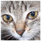 despair WhatsApp Sticker #24