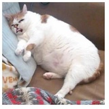 despair WhatsApp Sticker #26