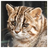 despair WhatsApp Sticker #27