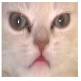 despair WhatsApp Sticker #29