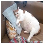 despair WhatsApp Sticker #4