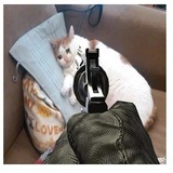 despair WhatsApp Sticker #5