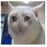 despair WhatsApp Sticker #9