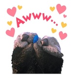 Finding Nemo WhatsApp Sticker #13