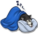 Furries - by Sidian WhatsApp Sticker #13