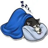 Sticker 13