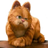 Garfield WhatsApp Sticker #11