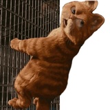 Garfield WhatsApp Sticker #15