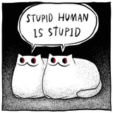 Gloomy Cat WhatsApp Sticker #16