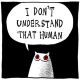 Gloomy Cat WhatsApp Sticker #19